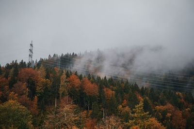 Scenic view of forest against sky during autumn