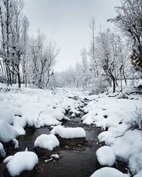 Scenic view of snow covered landscape