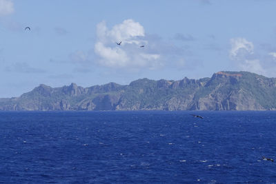 Seagull flying over sea against sky