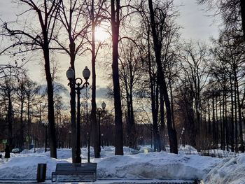 Bare trees on snow covered field against sky