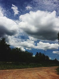 Trees on field against sky