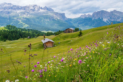 Scenic view of field and mountains against sky