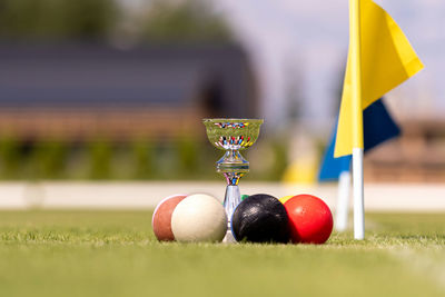 A set of colored croquet balls and a winners cup on the green lawn before the game, closeup