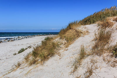 Scenic view of beach against clear blue sky