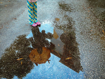 Reflection of trees in puddle