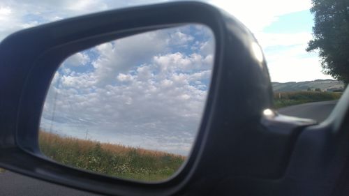 Reflection of trees on side-view mirror of car