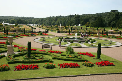 Scenic view of formal garden in park