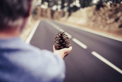 Rear view of man holding pine cone on road