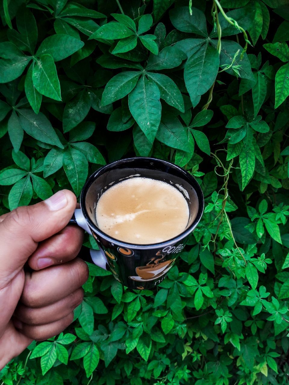 green, hand, leaf, plant part, food and drink, drink, refreshment, holding, one person, cup, plant, freshness, mug, hot drink, nature, food, coffee, tea, flower, high angle view, lifestyles, close-up, herb, outdoors, personal perspective, directly above, adult, finger