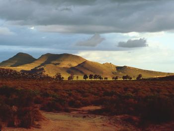 Scenic view of landscape against cloudy sky