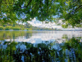 Scenic view of lake in forest against sky