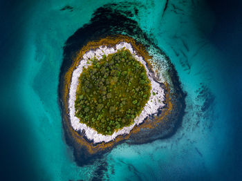 High angle view of heart shape underwater