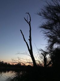 Silhouette bare tree against sky during sunset