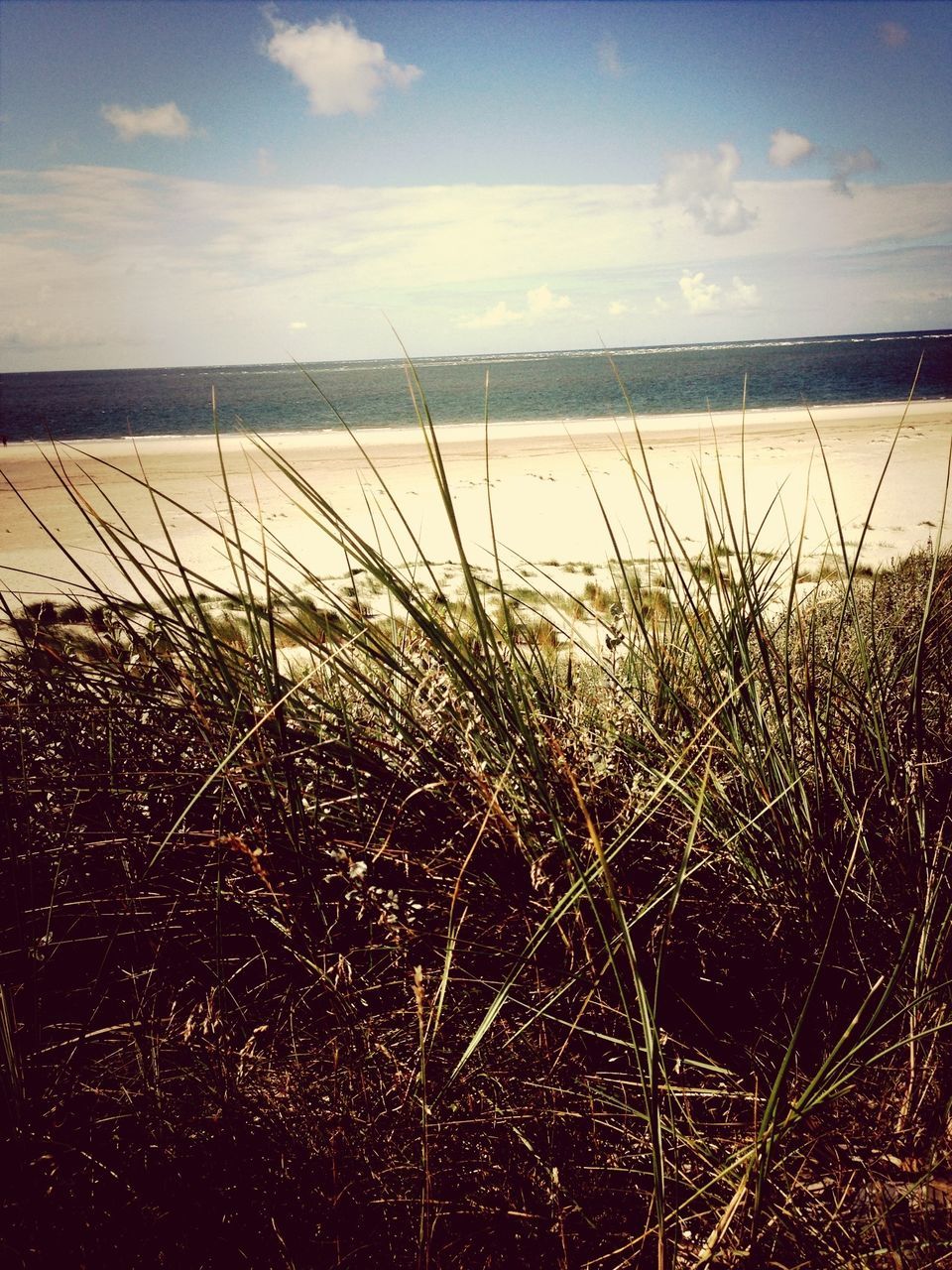 water, sky, tranquility, tranquil scene, sea, scenics, beauty in nature, nature, plant, grass, cloud - sky, horizon over water, cloud, beach, lake, idyllic, growth, shore, reflection, outdoors