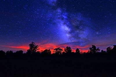 Silhouette trees against sky at night