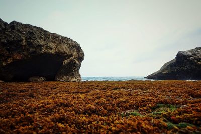 Scenic view of rock formation by sea against sky