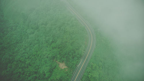 High angle view of grass on road