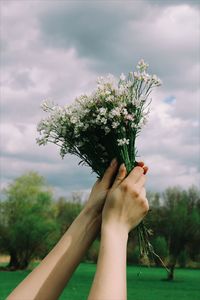 Cropped image of hands holding flowers against sky