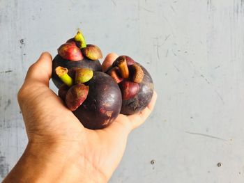 Close-up of hand holding apple
