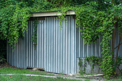 Closed door of building