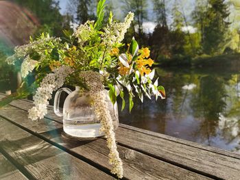 Close-up of flowering plants by lake