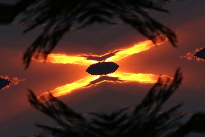 Silhouette plants against dramatic sky during sunset