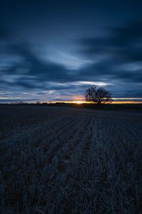 Scenic view of field against sky during sunset