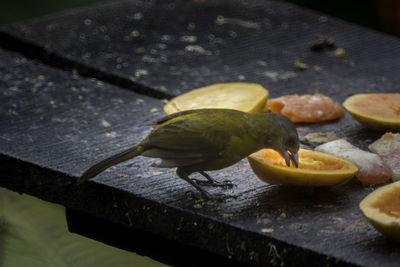 High angle view of fruits on table