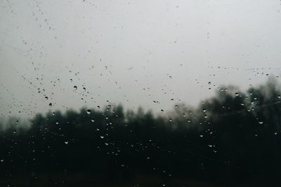 Close-up of raindrops on window