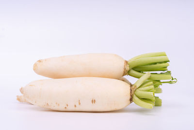 Close-up of bread against white background