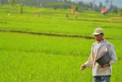 Man working in farm