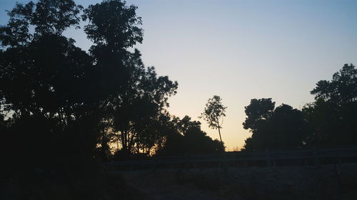 Silhouette trees against clear sky during sunset