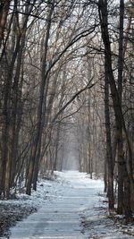 Snow covered trees in forest against sky