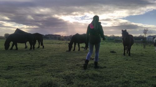 Horses on field against sky