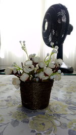 Close-up of flowers in basket at home