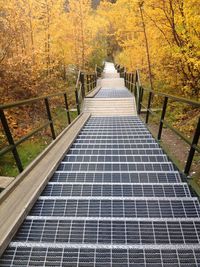 Empty road amidst trees in forest during autumn