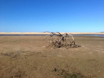 View of desert against clear blue sky