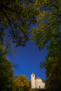 Low angle view of tree against sky