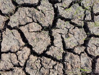 Full frame shot of cracked land