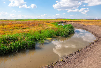 Scenic view of agricultural field against sky