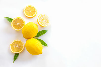 High angle view of fruits in plate against white background