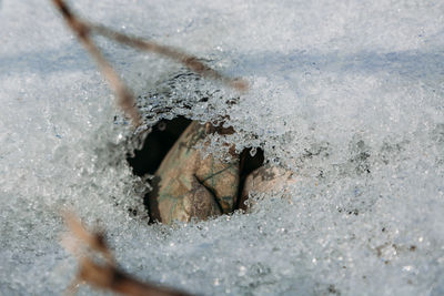 Close-up of rusty metal during winter