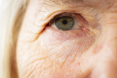 Close-up portrait of human eye