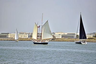 Sailboats sailing on sea against clear sky