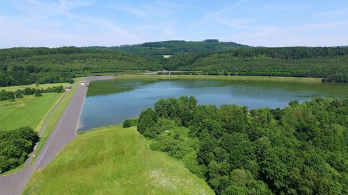 Scenic view of lake in forest against sky