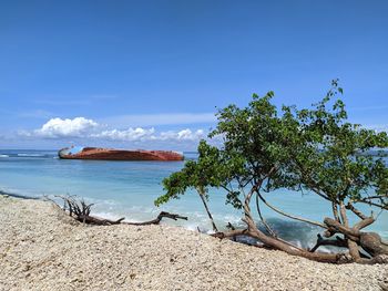 Scenic view of sea against blue sky