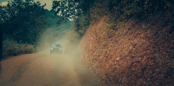 Road amidst trees in forest