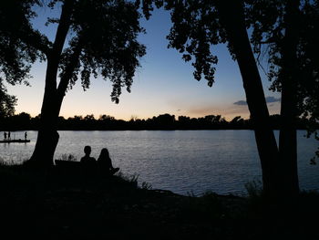Silhouette of trees at sunset