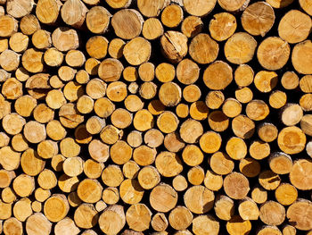 Full frame shot of logs