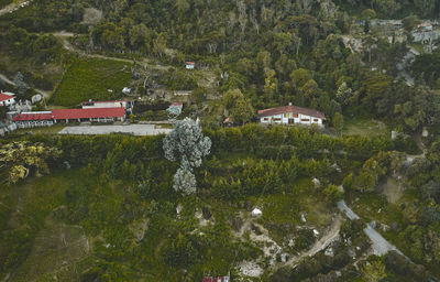 Buildings in forest